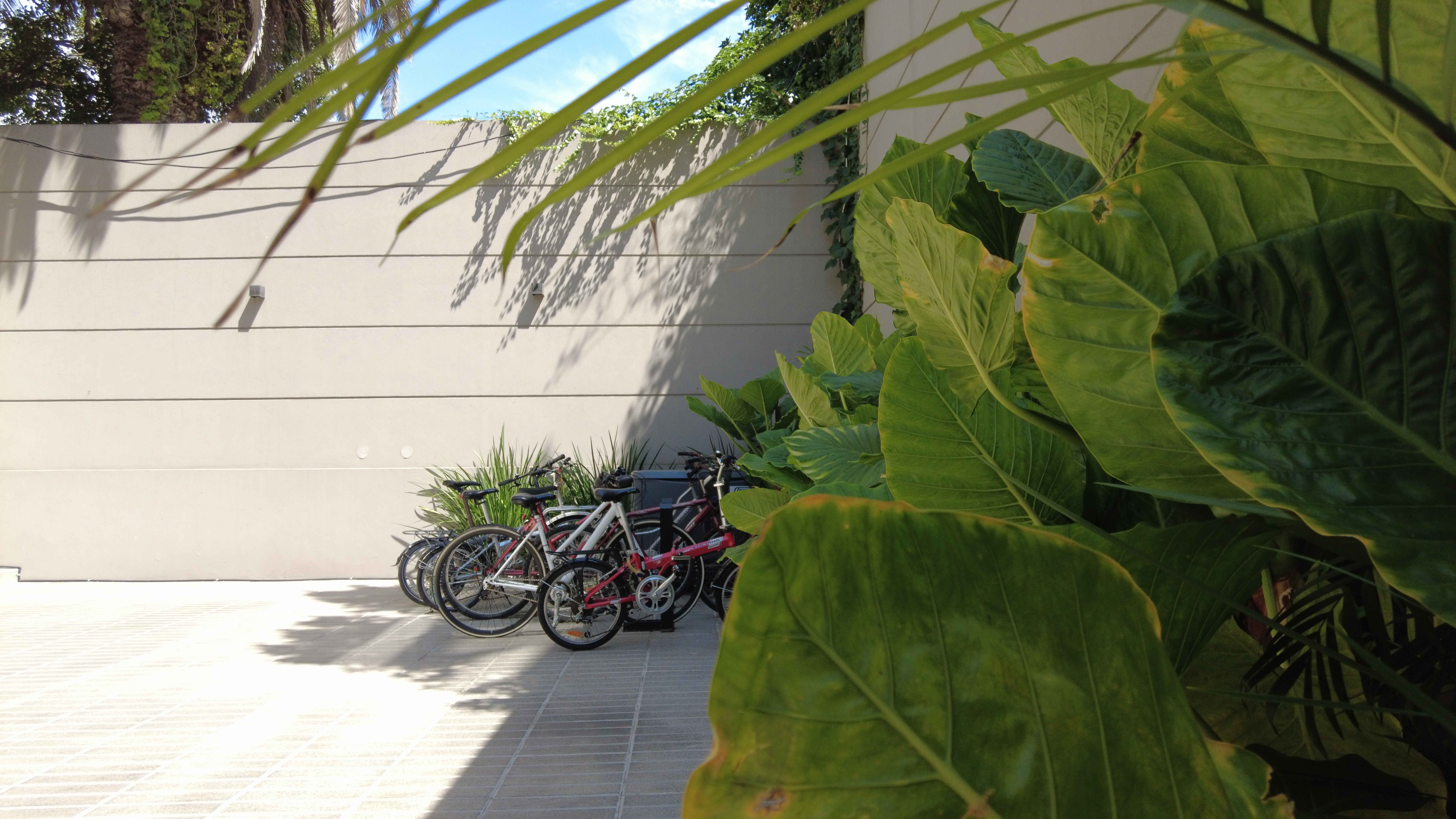 terrazas-colegiales-[2023-01-24] Avance de Obra n01 (38)